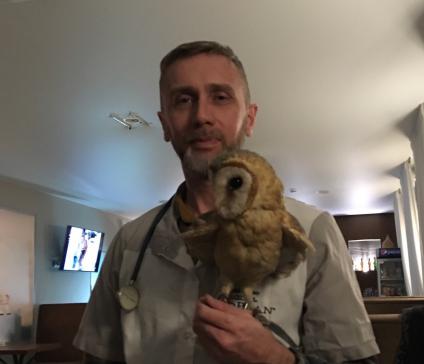 Горшенин Дмитрий Юрьевич