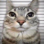 Вадим Юнусов