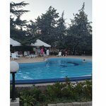 Владислава Тихонова