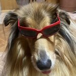 Аркадий Паровозов