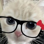 что эта такое