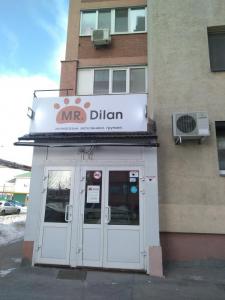 Фотография Mr. Dilan 0