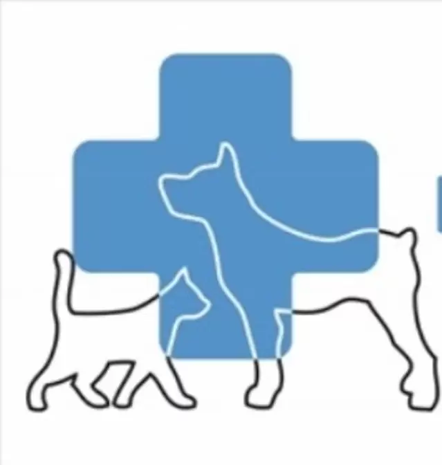 слайд